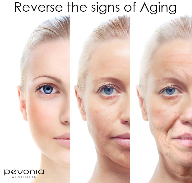 Instyle_Salon1's tweet photo. Complementary Eye Anti-Aging Mask with a Pevonia Deep Cleansing Facial $65 #pevonia #eyemask #antiaging #facial https://t.co/GkEjdsEgQt