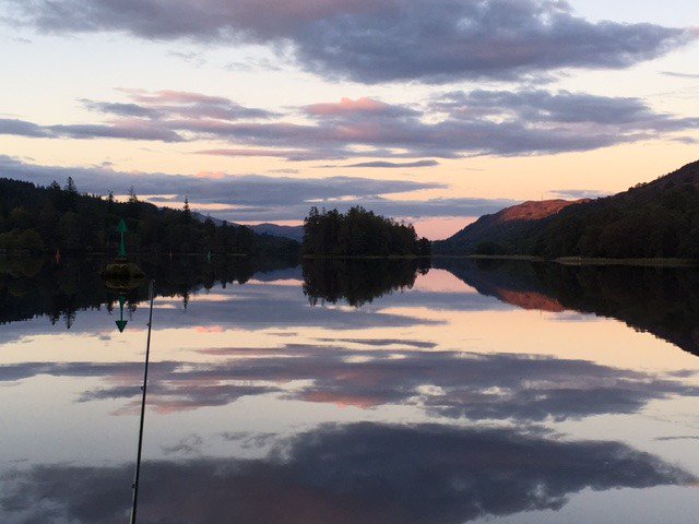 Emerald Star Boating tweet media