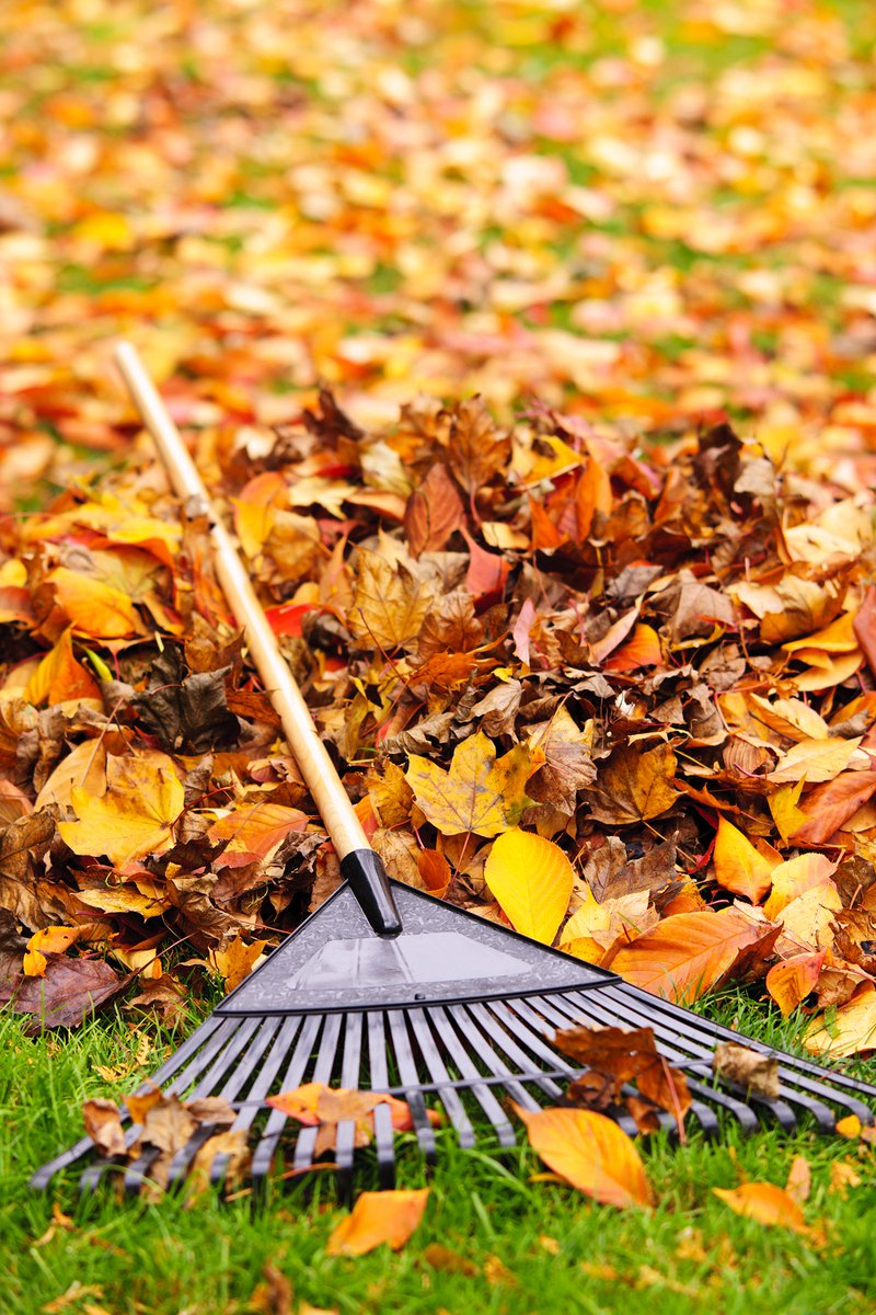 canadianenergy's tweet photo. Its fall cleanup time! Remember to charge your batteries &amp; if you need new ones in spring, you know where to find us. #fallcleanup #RakeOn https://t.co/RpX259OEtT