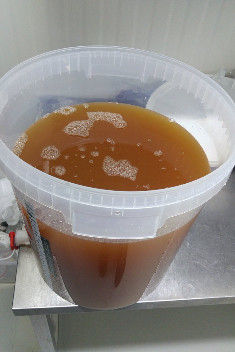 neuroup's tweet photo. Wyższa lvl w robieniu #Cydr czyli świeżutki, niepasteryzowany sok jablkowy:) Zobaczymy co wyjdzie z tego :)  #ciderini @biowin_pl https://t.co/07wvzlCsDp