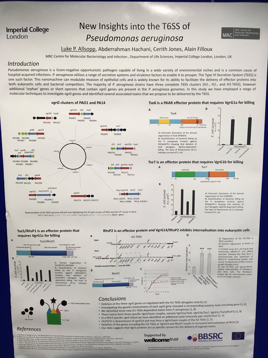 luke_allsopp's tweet photo. My poster at the CMBI @iiscbangalore joint symposium #AMR @avi_cmbi @bugsinblood  @cmbi_cpa #bacteria #CMBI_IISC https://t.co/VRdC6HyyMZ