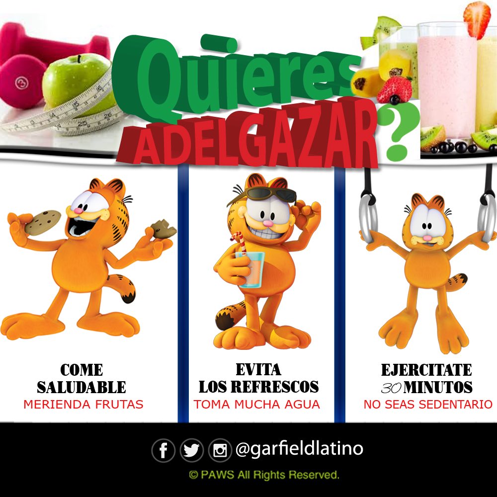 #QUIERES ADELGAZAR??? #SIGUE LOSCONSEJOSDEGARFIELD #GARFIELDTIPS #PONTEFIT #COMESANO #EJERCITATE  <a href="/garfieldlatino/">Garfield Latino</a>