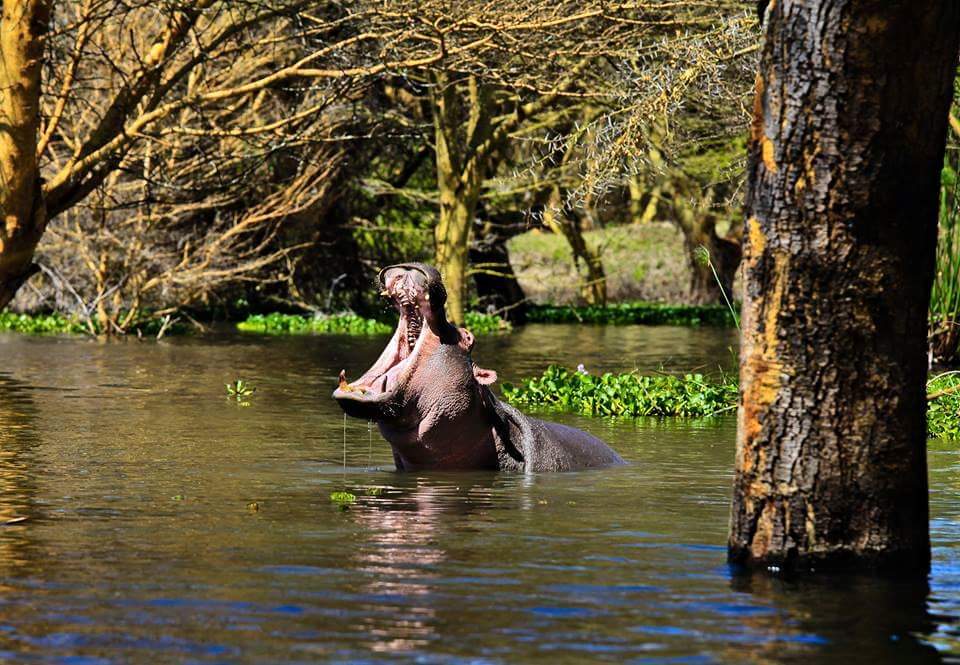 Zambia <a href="/africaluxurytcb/">Africa Luxury Travel</a>