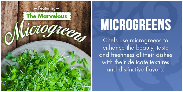 This green is more than just a garnish.
