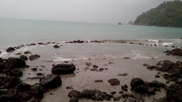 TheTicoTimes's tweet photo. Manuel Antonio: Ocelots, thunderstorm, cliff climbing and yes, turtle traps https://t.co/22ov0AvKnm https://t.co/tLa5sUza4Q