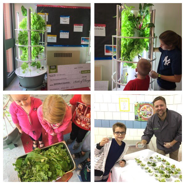 Thanks to <a href="/SeedsofChange/">Seeds of Change</a> &amp; <a href="/LetsMovePGH/">Let's Move PGH</a> Chef Joe of  <a href="/deerlakessd/">Deer Lakes School District</a> used school grown greens for I tried Thur