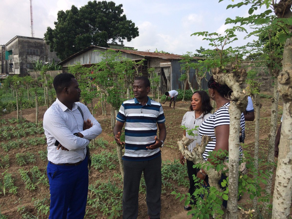 ArjunDurr1's tweet photo. This is how its done! Urban farming with Africanfarmer in downtown Lagos @AshokaWA @changemakers #africayouthfwd #itsshokotime #yabafarmlife https://t.co/HM7FVtE0YL