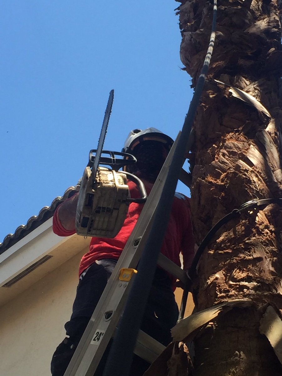 LandscapeRescue's tweet photo. https://t.co/b8NxSoVH8V