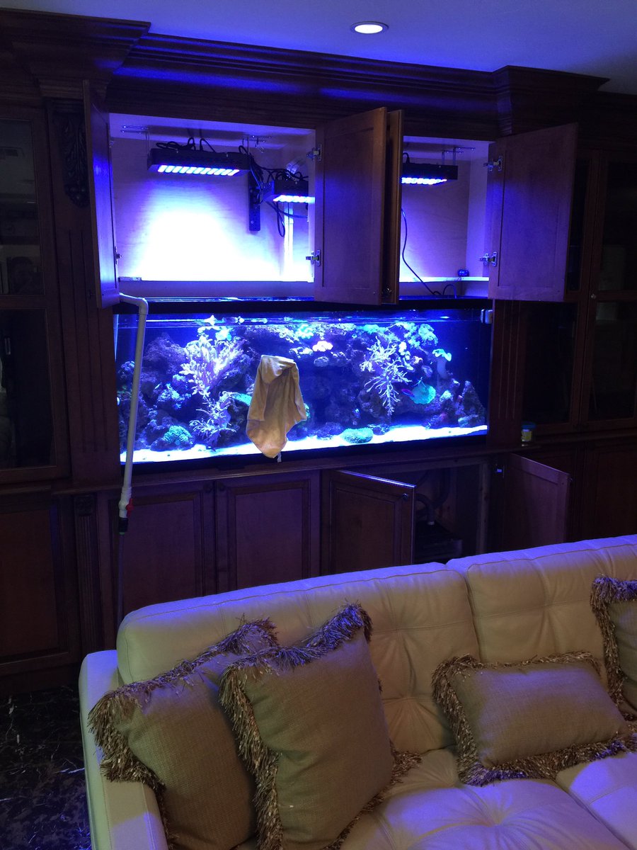 androaquatech's tweet image. Here's a couple of beautiful tanks I serviced yesterday.