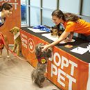 Fairfield Subaru tweet media