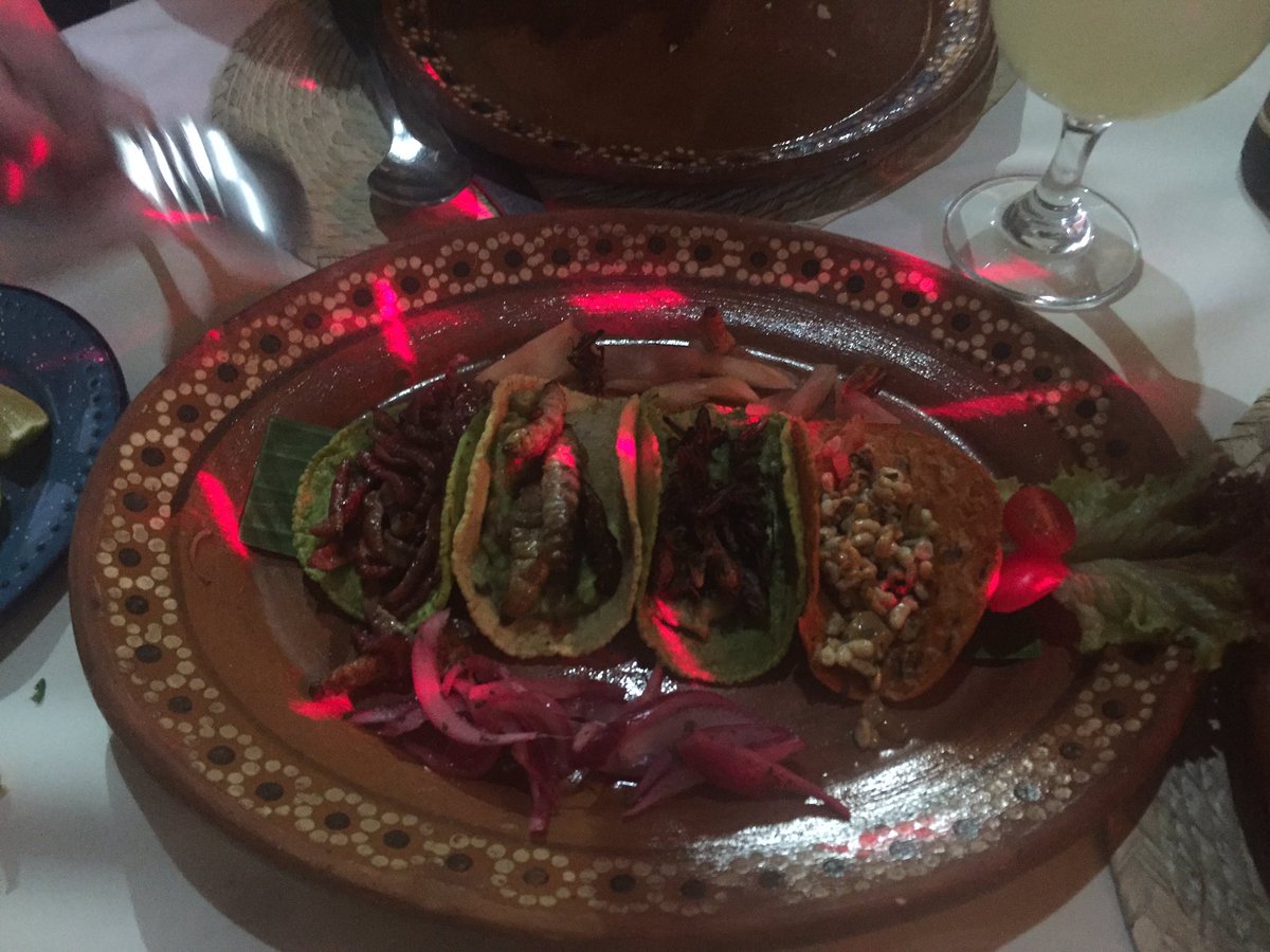 chefpfefferkorn's tweet image. Lunch starts with "bugs"#goodtastseries