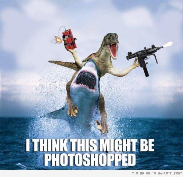 Evan Naylor (@naylor_evan) on Twitter photo 