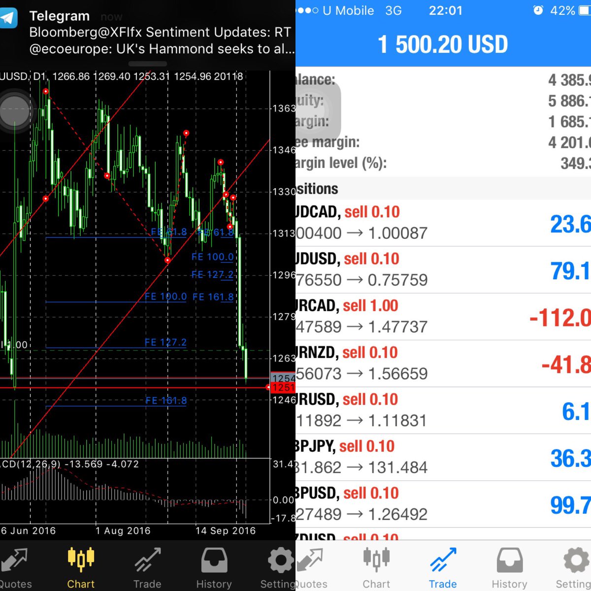 Forex gold trader 4.0 download
