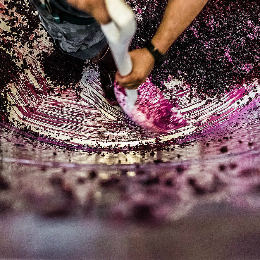 With harvest complete, winemaker <a href="/NateCWeis/">Nate Weis</a> reflects on the 2016 vintage in our latest blog post: silveroak.com/blogs/final-20…