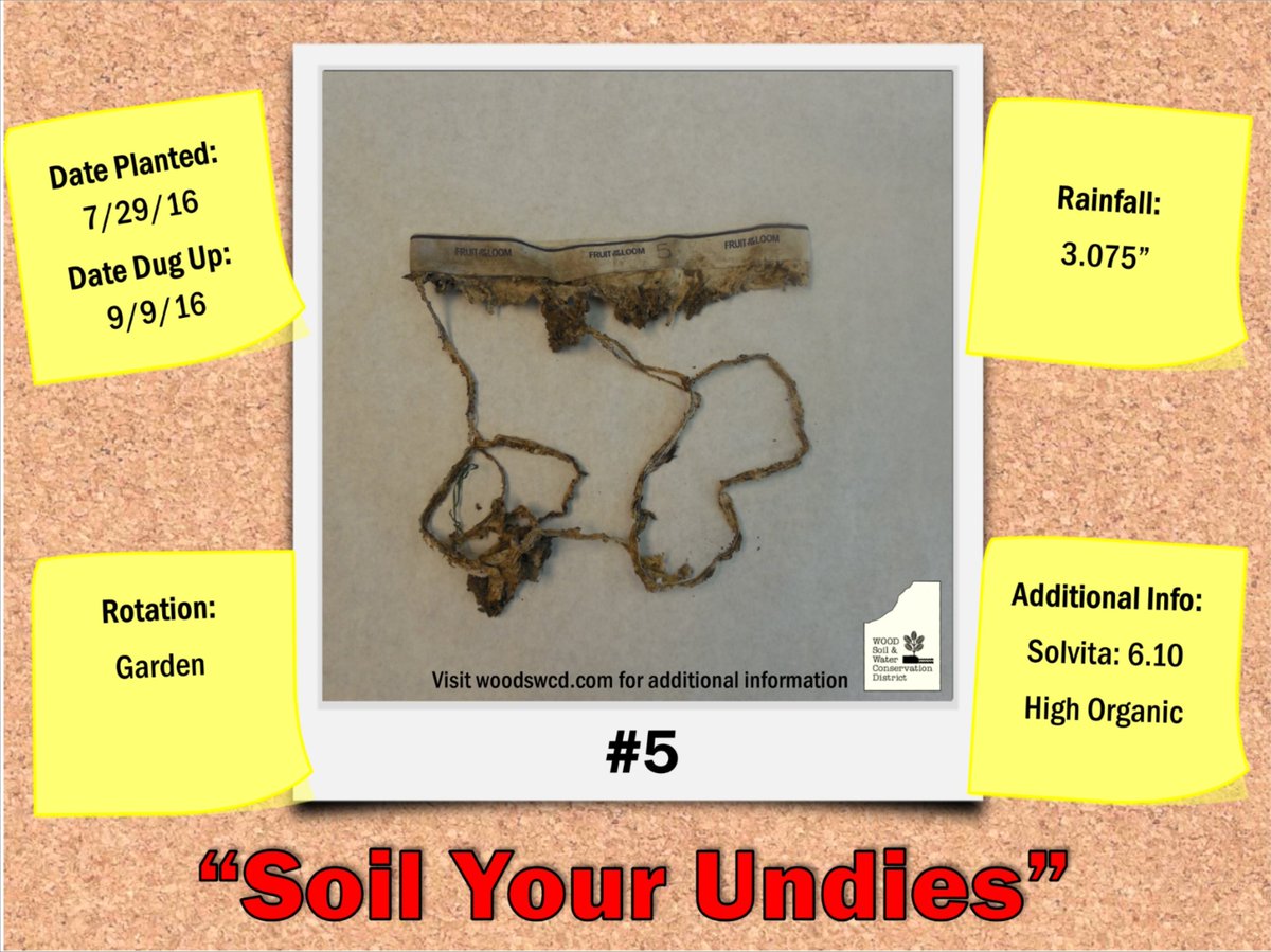 WoodSWCD's tweet image. #woodcounty farmers soiled their undiers for #soilhealth this summer see more at farm4cleanwater.com/soil-your-undi… #soilyourundies