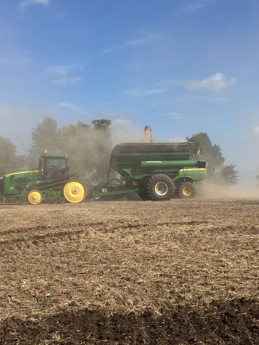 KenSchaus's tweet photo. Soys and wheat today at Chesley #ontag
@AhrensRichard @agrivation1 &amp; new to Twitter @jonathan_kabbes getting it done 
Beans4 @paulkkmartin1 https://t.co/R9HHhvtseN