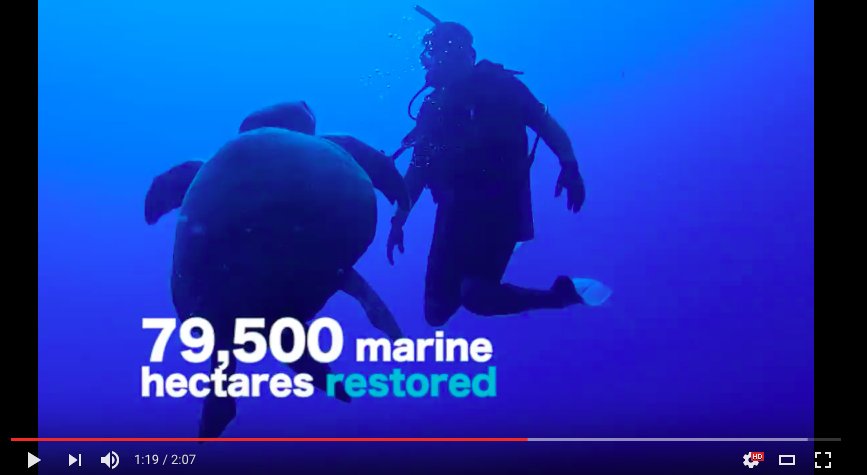 cobi_mx's tweet image. "#FishingSolutions"1st  #COBIsFundraising event to to empower this movement and preserve the oceans! [video] &amp;gt; bit.ly/2dOuReT