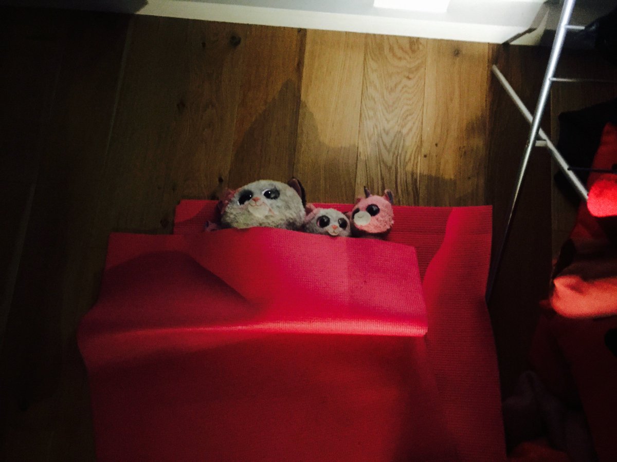 elliott_king's tweet photo. The kids are in bed, time to watch @aleksandrabking  on #BBCApprentice https://t.co/Aq4CVBAcXc https://t.co/V7VtRy5139
