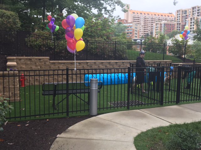 AveryRowApts's tweet photo. Avery Row's Grand Opening Pet Park! #petpark #pets #dogs #treats #averyrow #grandopening #arlingtonva #new #fun https://t.co/s8e36ptHqn