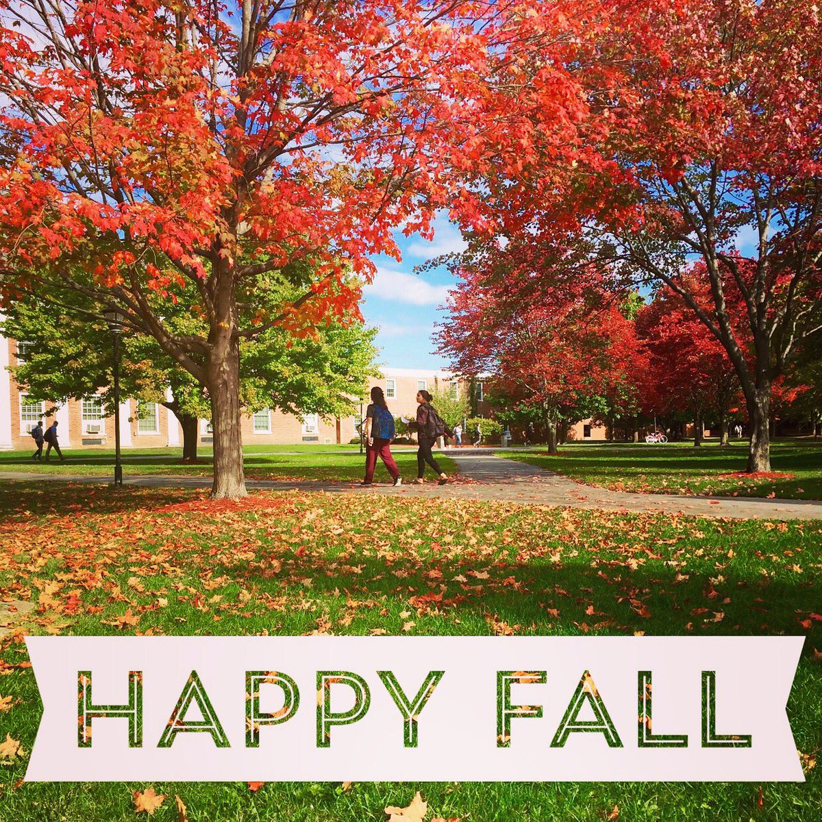 sunypotsdam1816's tweet photo. Share your best autumn campus pics by Oct. 15 & win $50 to bookstore! Just tag: #fallingforpotsdam #sunypotsdam https://t.co/0z7oPudBu3