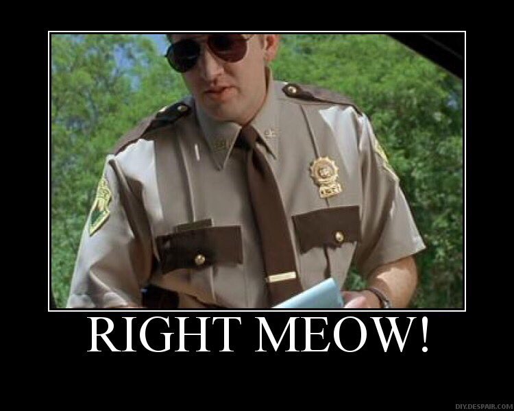 dreynolds41's tweet photo. Do yourself a favor and fill out your @PIPELINEorg application.  Right meow.  
https://t.co/CIYMS8U58o https://t.co/niUFPYD4r7