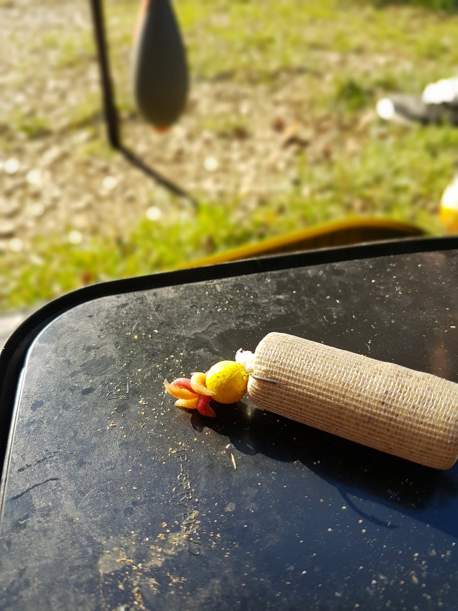 What self respecting carp wouldn't eat this?