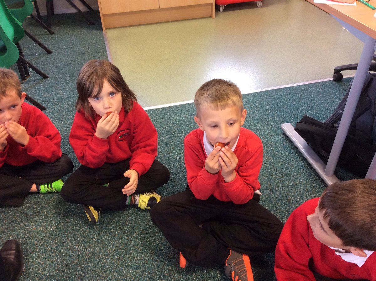 MrPossibleY6's tweet photo. Deciding which foods belong to the different food groups@@BoothferryPS #science https://t.co/d1zUff85kI