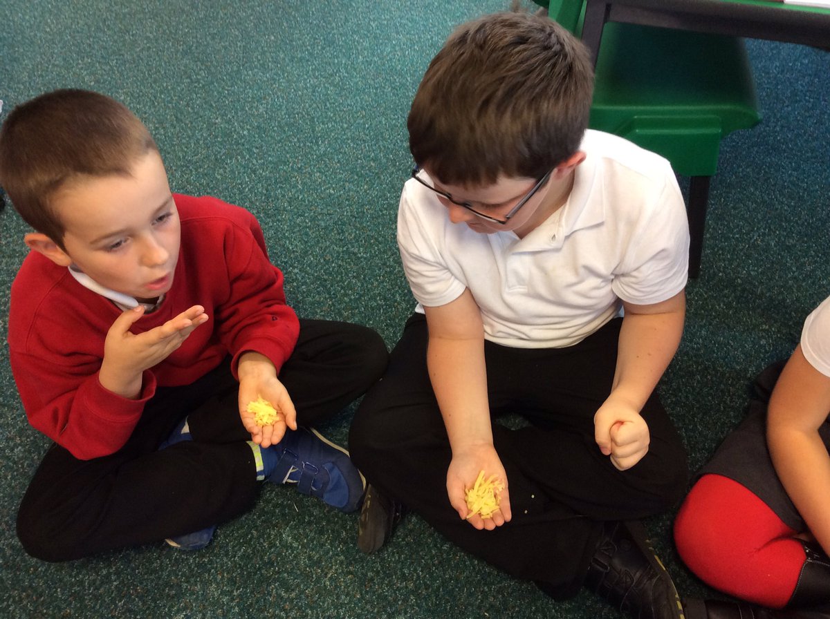MrPossibleY6's tweet photo. Deciding which foods belong to the different food groups@@BoothferryPS #science https://t.co/d1zUff85kI