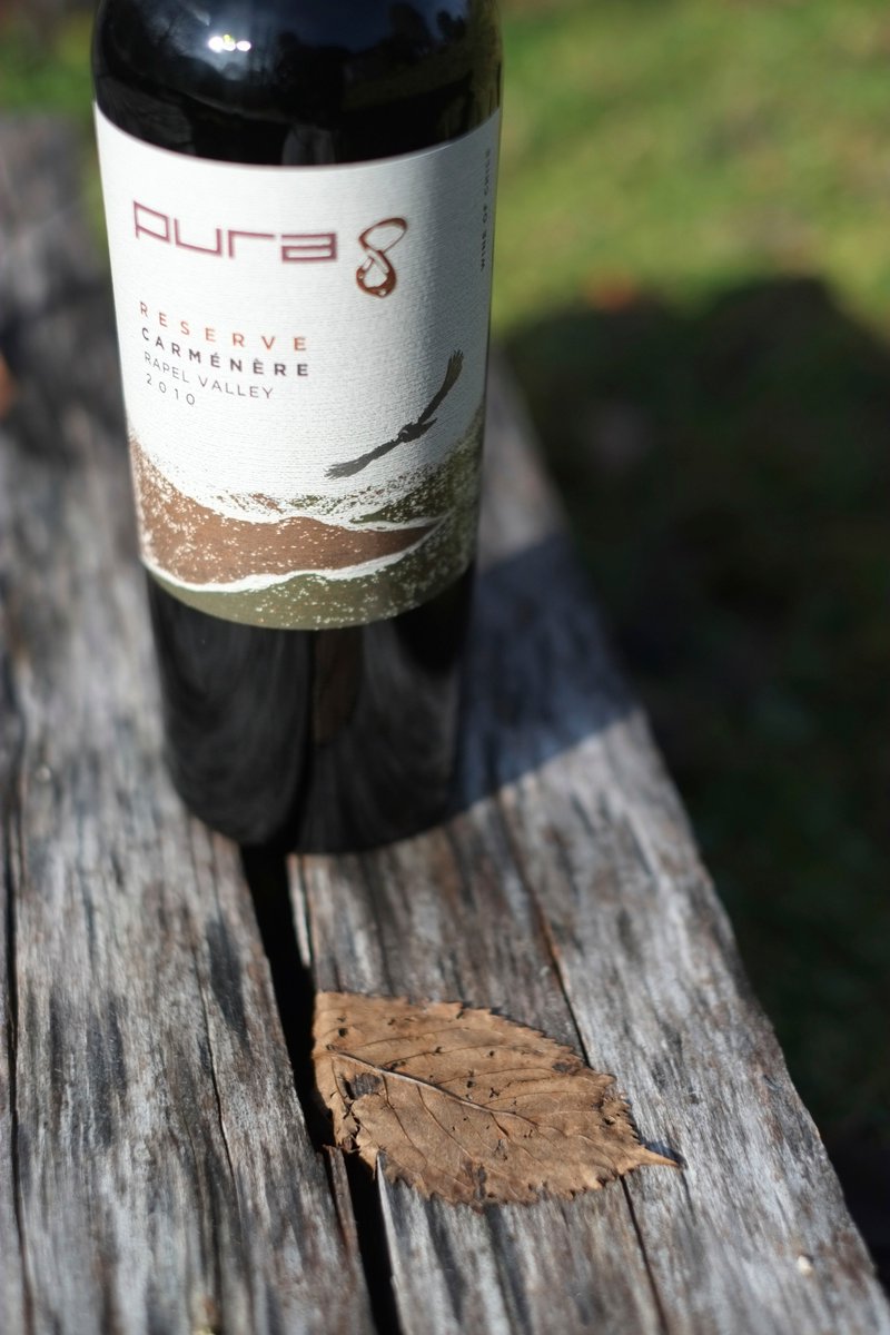 purawines's tweet photo. @SoFi allowed us to become #entrepreneurs and start our own wine import company! #WhyISoFi #contest https://t.co/cOKhkrLZiy