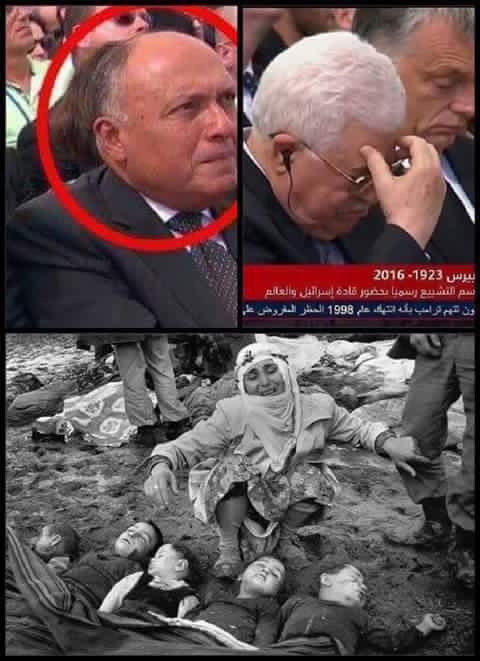 Ferdous__111's tweet photo. مصر في حكم العسكر
يعزوافي وفاة بيريز الصهيوني
ويحتفلوا بنصراكتوبراللي كانت حرب عالصهاينة
اااه منكم يامتصهينين
#صبرنا_نفد_ياسيسي
 #جيش_اكتوبر https://t.co/5scjpInlzk