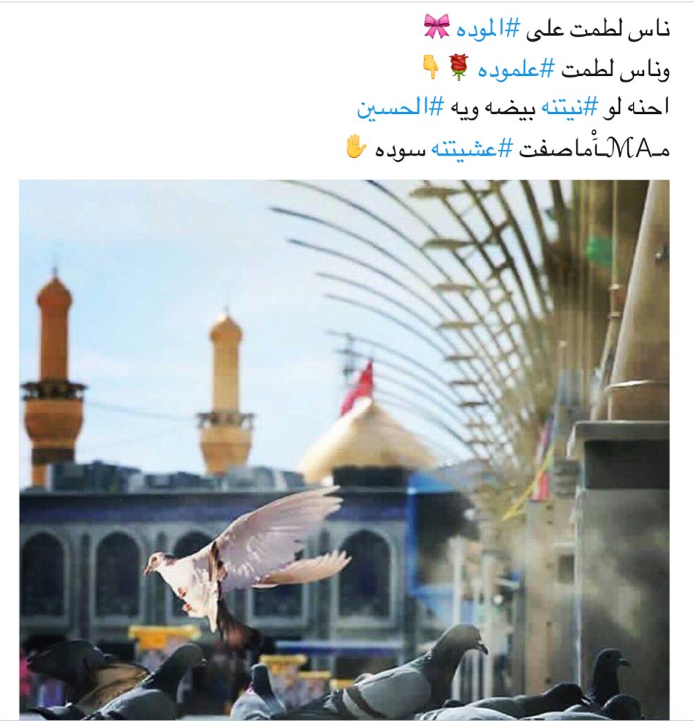 #ياحبيبي_ياحسين🙏🏻😔