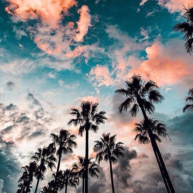 LoveMeRun's tweet image. "The biggest adventure you can ever take is to live the life of your dreams." – Oprah ☁️🌙Make your dreams a reality &amp;gt; LMR Santa Monica 11/12