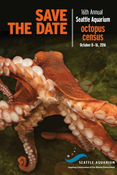 SeattleAquarium's tweet photo. Need an excuse to go diving? Help us with this year’s Octopus Census, October 8-16! https://t.co/5MNymMBupn https://t.co/X5FBlLflPv