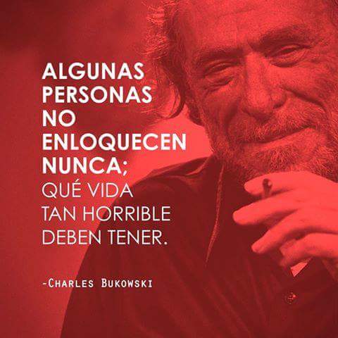 Rodolfo Morel tweet media