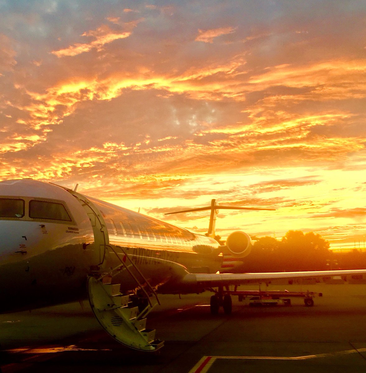 lorealtheartist's tweet photo. #LSTDesigns #photography Flight https://t.co/ZjSHT2ibtC
