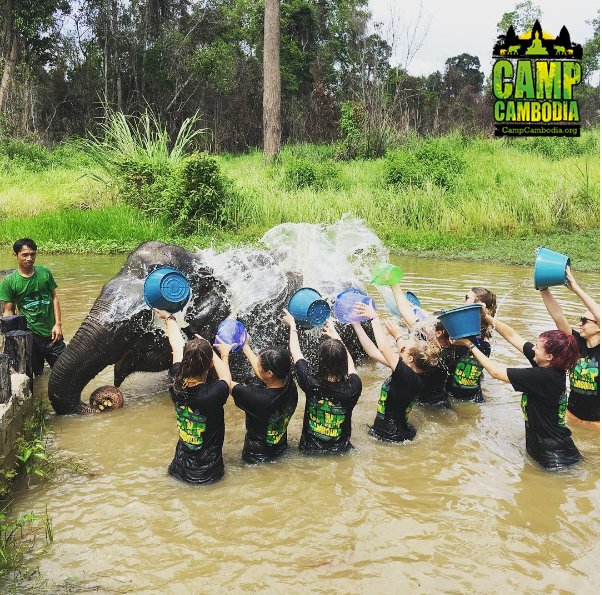 CambodiaCamps's tweet image. Want to bathe an elephant too? 🐘  #Cambodia #GapYear #Volunteering

Apply now at bit.ly/2ctzHiD