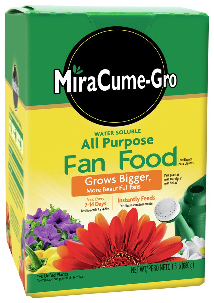 Todd Ferguson tweet media