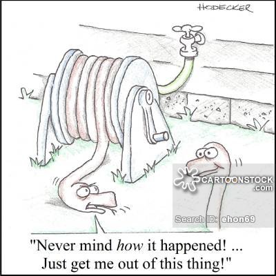 BiddoThon's tweet photo. Oh, the predicaments we get ourselves into! Right, @BurmaPThon @WessieThon ? https://t.co/6DzCnQDaly