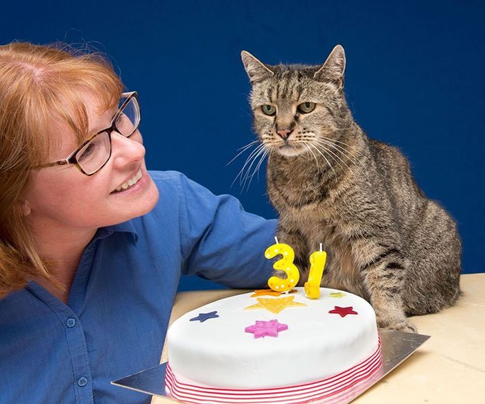 Gjallarhornet's tweet photo. World’s Oldest #Cat Is 31 And Still Has Many Lives Left
#Cats
https://t.co/94l7Fu5kB9 https://t.co/lM7bFYRCUZ