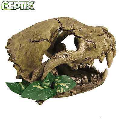 ReptixTweet's tweet photo. Need #skull &amp; #plant #decoration for your #reptiles #vivarium? Look no further! Purchase now on eBay https://t.co/CxQnVgpMhX #reptile #decor https://t.co/Q2YfaL75QC