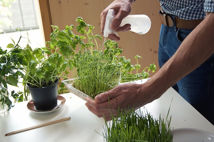 Cell Garden tweet media