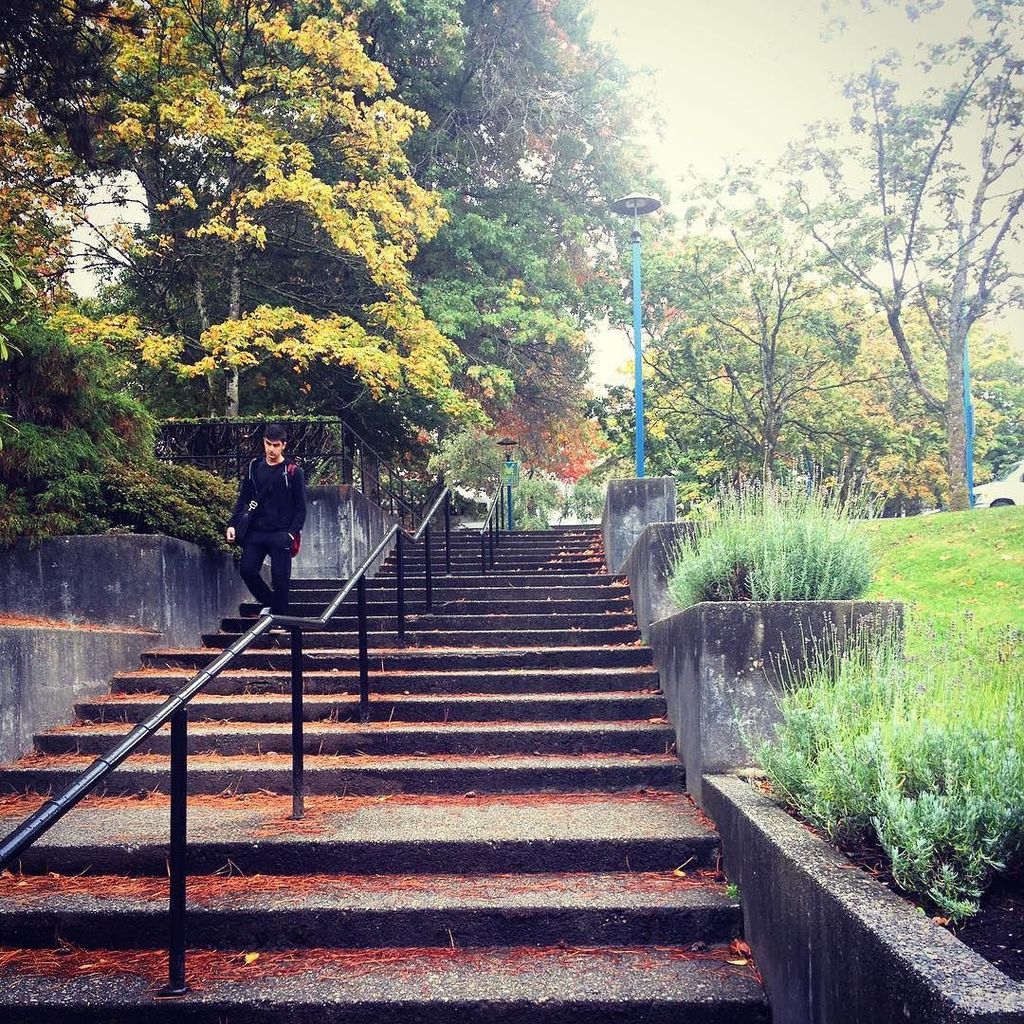 bcitsa's tweet photo. Fall is in the air @ #bcit today 🍂🍃🍁
#vancity #fall #campulife #lifeatbcit #bcitsa #burnab… https://t.co/mKFZTFm05s https://t.co/siEvqCUWdH