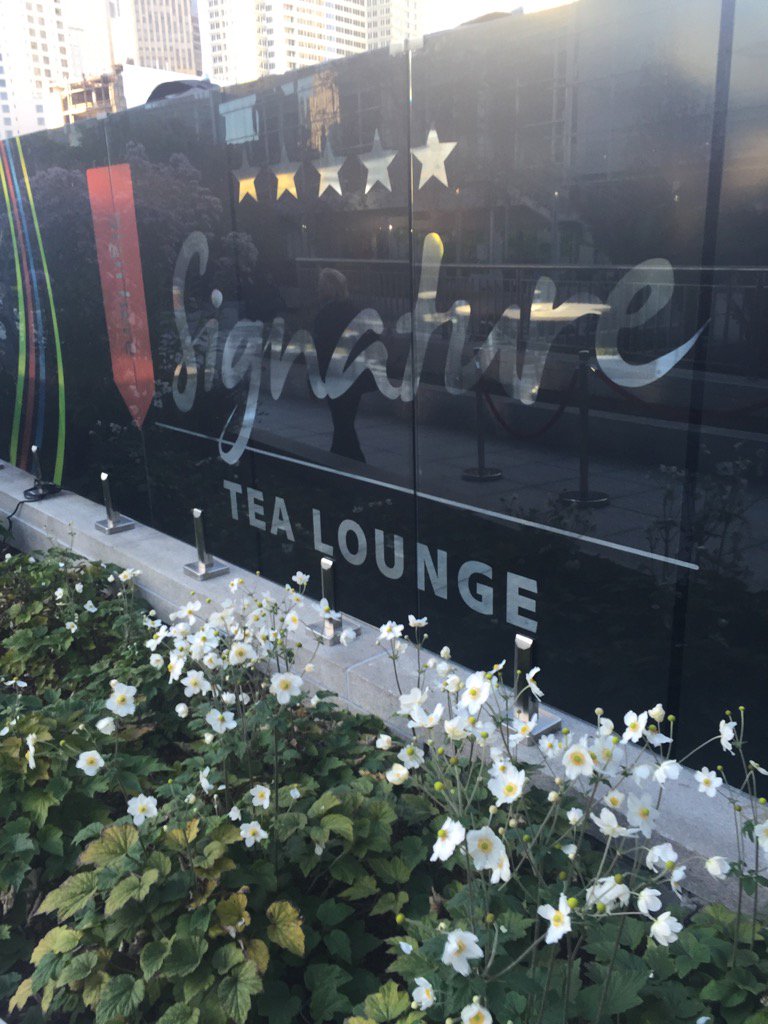 olga_media's tweet photo. Nice tea and easy presentation by @AdobeDocCloud #adobesigncontest during #DF16 #OlgaMedia https://t.co/jctVgVsYQ5