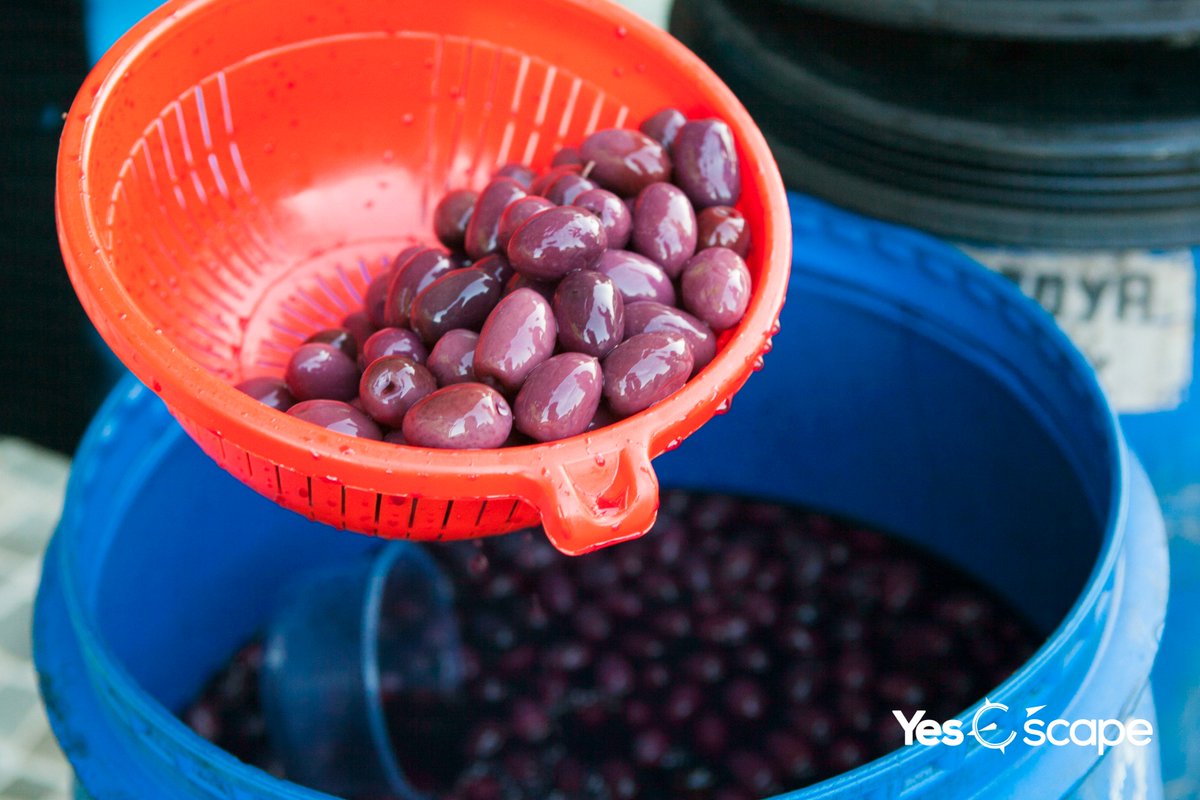 LaloTravels's tweet photo. We could sit and eat these #Olives all day long

#TravelTopics #explore #TBEX #TTOT #TWWT #TRLT #TBU #TRAVELMASSIVE #LP #JSET #PTBA #RTW https://t.co/p9syL3Kq4C
