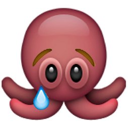 AM_Pines's tweet photo. @jheil & @MarkHalperin: #WADR a quick and dirty #sadoctopus #tako https://t.co/6GoWqGLJqG