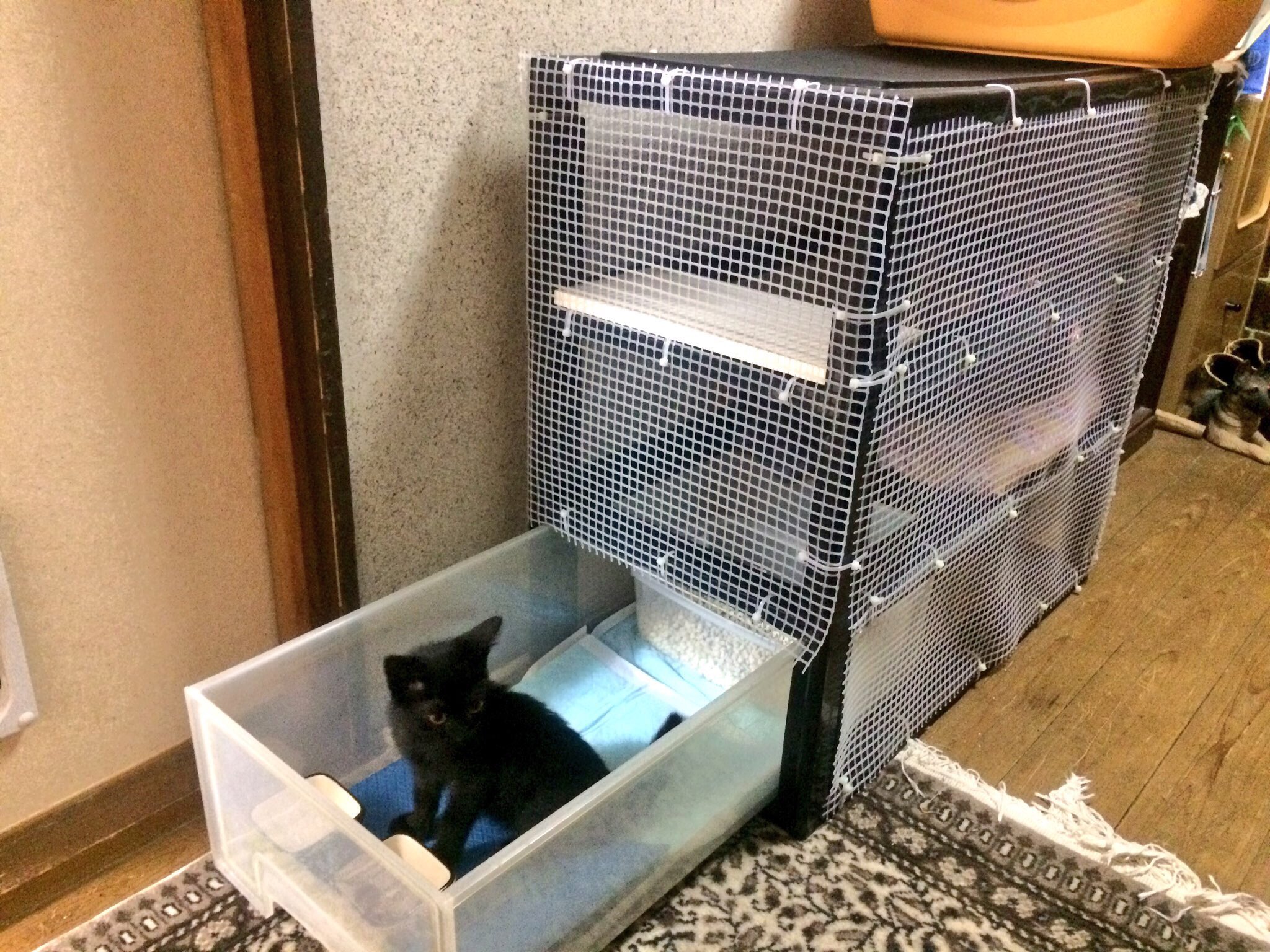 みぃ 子猫のゲージを三段衣装ケースを改造して作ってみました 奥にトイレも完備 猫ゲージ 手作り Dyi T Co Bpq11otwvw Twitter