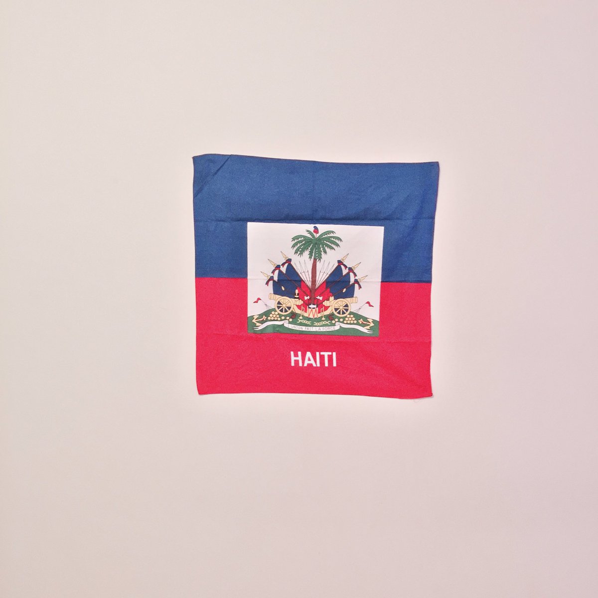 LexiPendzich's tweet image. Prayers for #Haiti.
#lunionfaitlaforce #unitymakesstrength #hurricanematthew