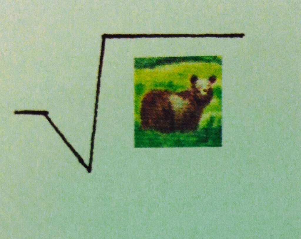 cvgate's tweet image. Snake devoured Bear #BearMath #SquareRoot