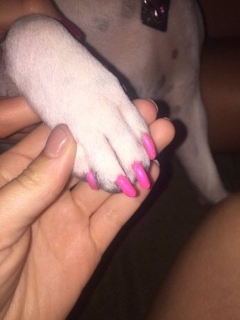 twins_n_wins's tweet photo. respect to my dude that works so hard, he comes home with his hands looking like this so hers can look like this https://t.co/90w7VbioRv