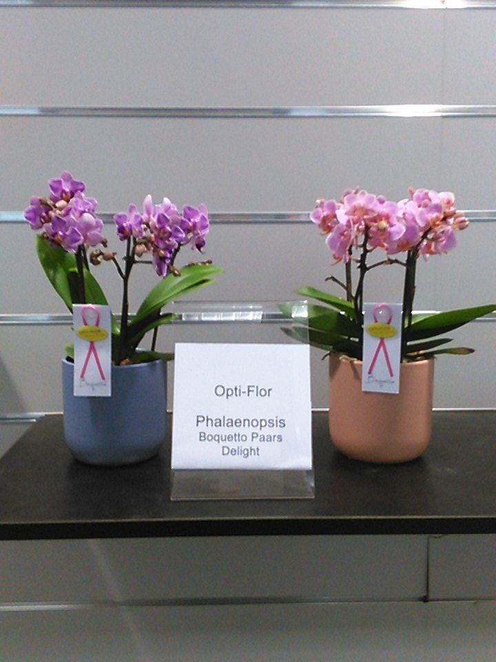 #OPTI-FLOR Boquetto #Kwaliteit #Betrouwbaar #Duurzaam #Bloemistenklok Naaldwijk #RoyalFloraHolland.